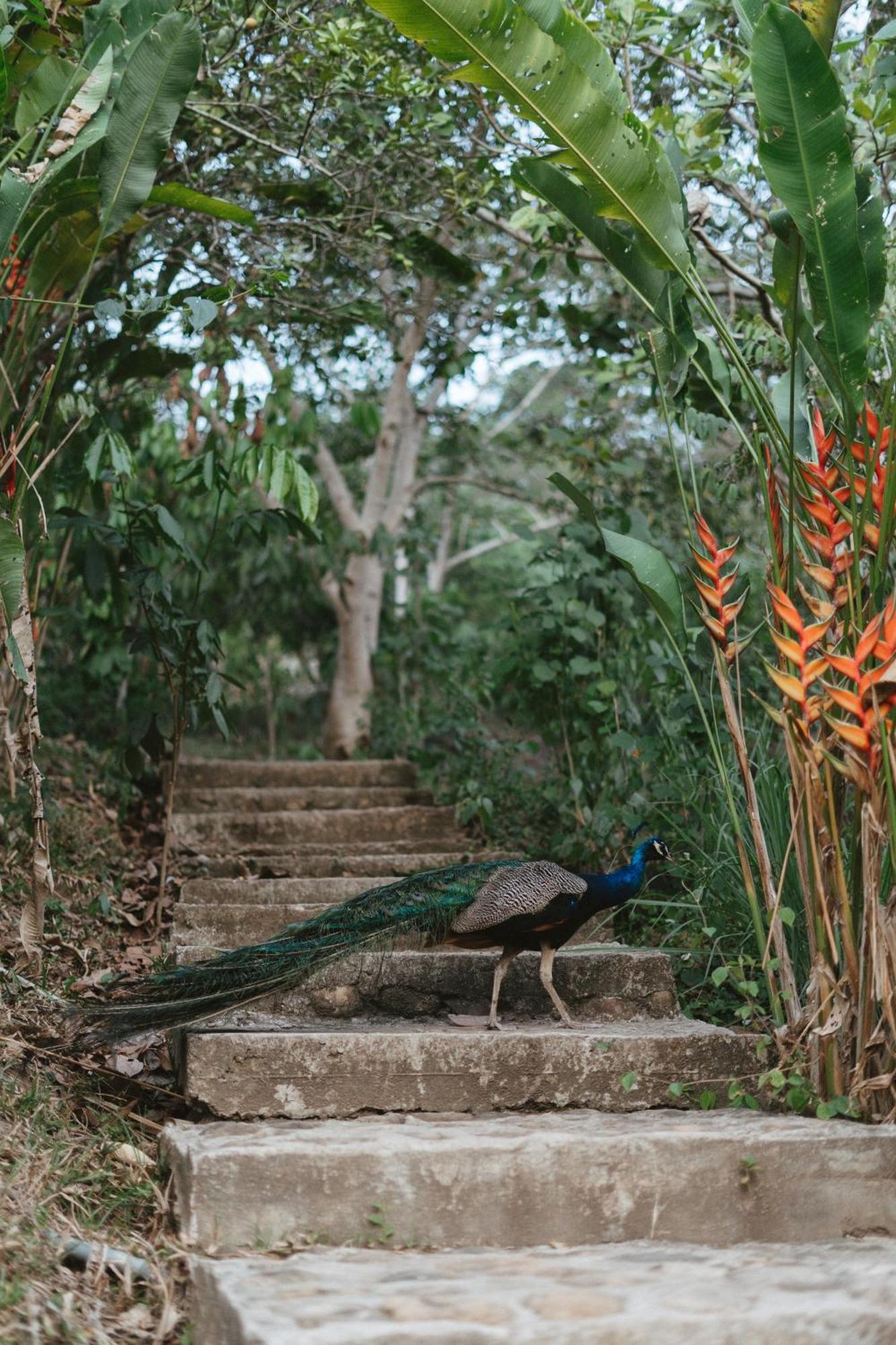 Villa Lu Amazon Ecolodge Тарапото Экстерьер фото